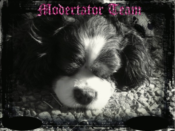 Moderator profielfoto