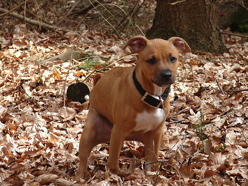 Als je moet, dan moet je...