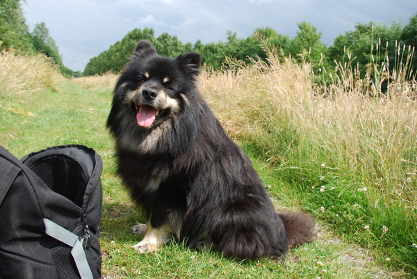 Even pauze tijdens deze mooie lente wandeling