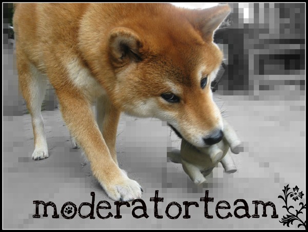 Moderatorteam