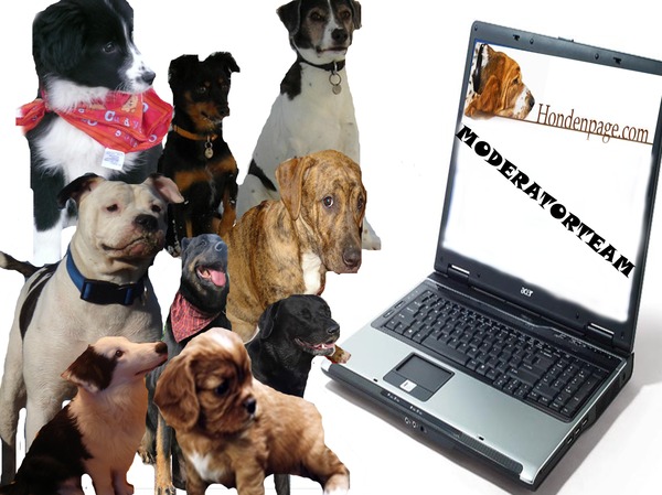 woody en de honden van de modjes