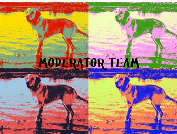 Moderator team van Max