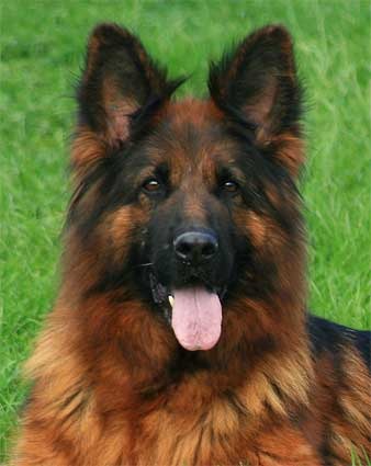 Anke Wundrock (Von Schloss Bladenhorst)