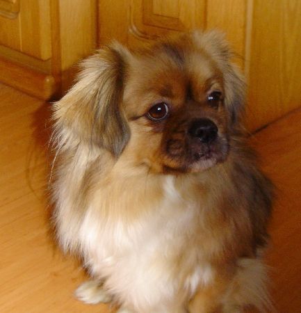 v. d. Oale Zandkoel'n