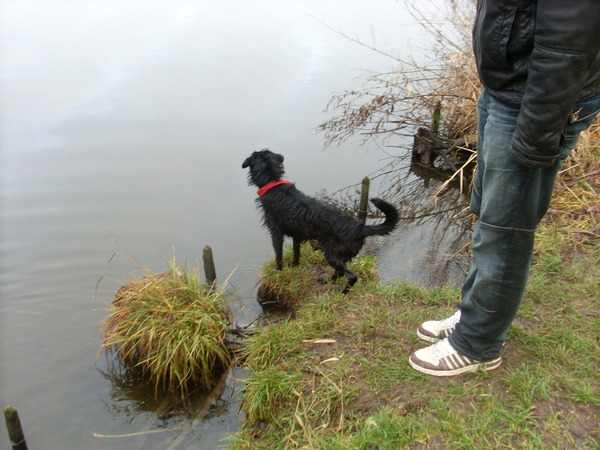 Wat zie je Falkorretje?