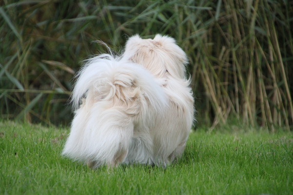 La Maison Du Marchand