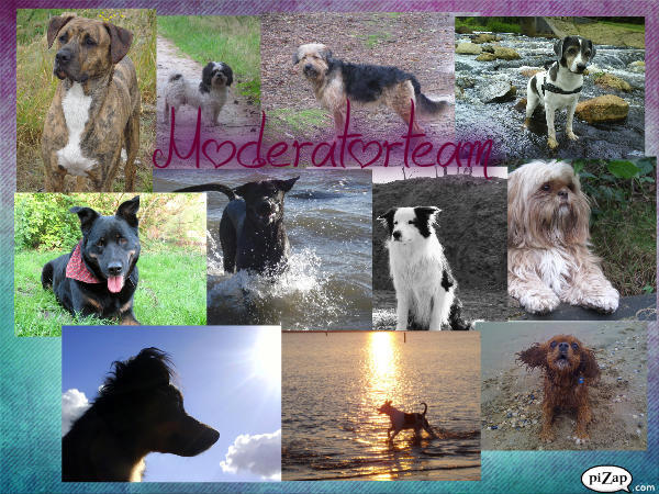 Alle honden