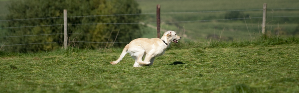 ennnnnnnnnnnnnn actie!!!!