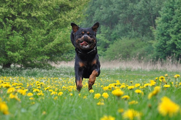 Ingo! Hiiiiiiiiieeeeeeeeeeer!!!!!!!