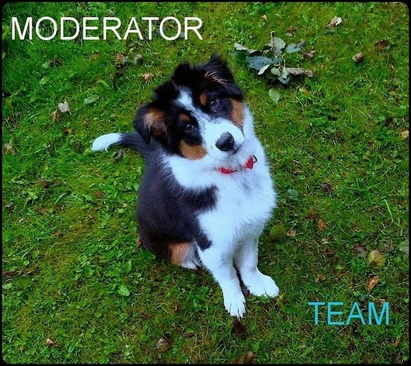 Inca is watching you.