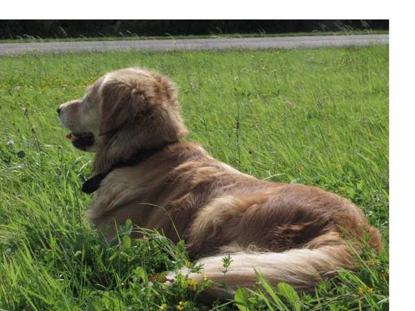 pauze op een wandeling