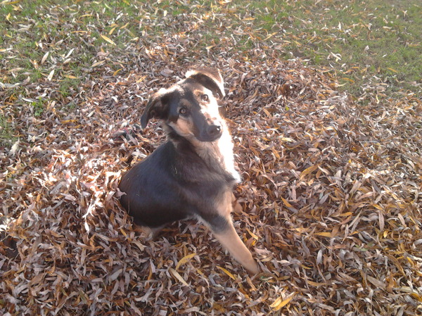 Lekker in de blaadjes :D