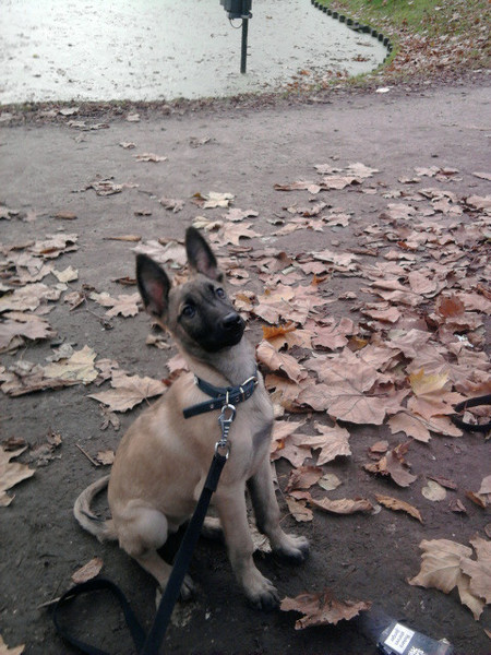 Kleine hope