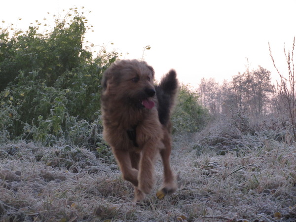 Genietend in de ochtendglorie