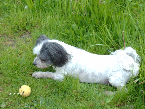 Wat zal ik ermee doen....