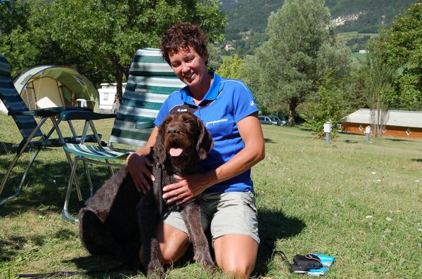 Duitse Staande Hond, Draadhaar