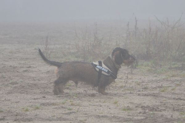 Kareltje in de mist...