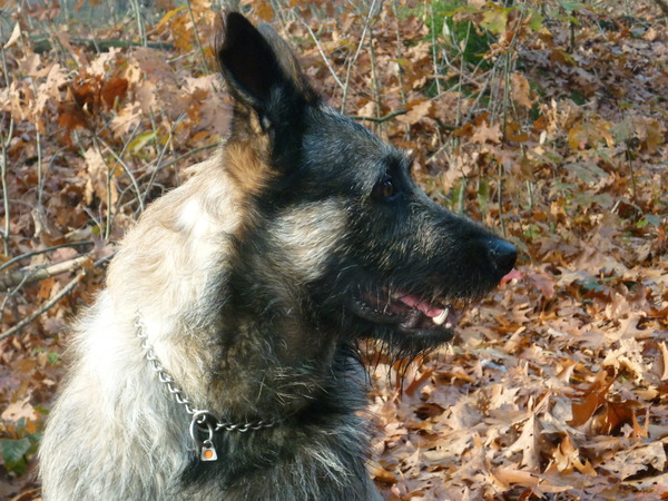 Middagje wandelen in de bossen