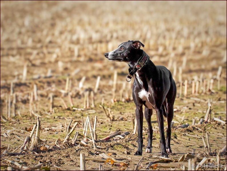 eindeloos turen in de herfst zonnetje