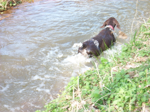 daniya aan het water