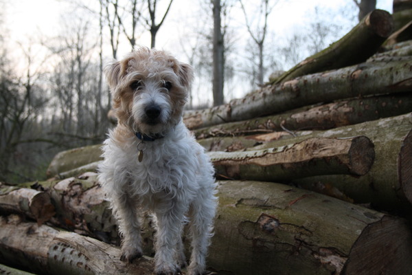 Junior is stamoudste ;)