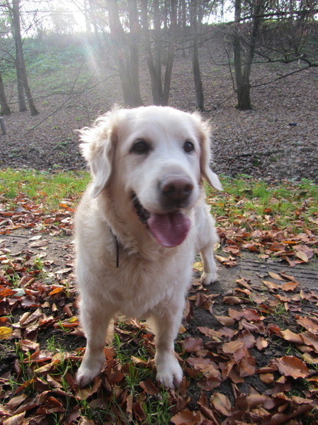 Wat een pracht is ze toch!