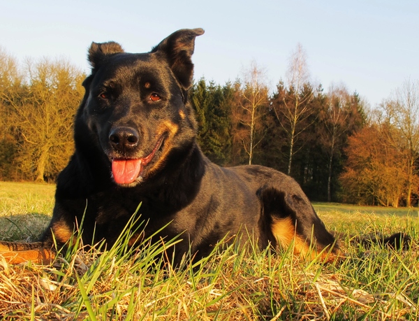 herfstnamiddagzonnetje