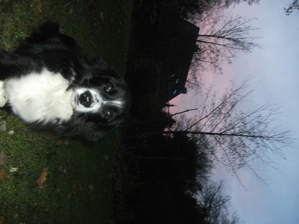 zonsondergang in de herfst