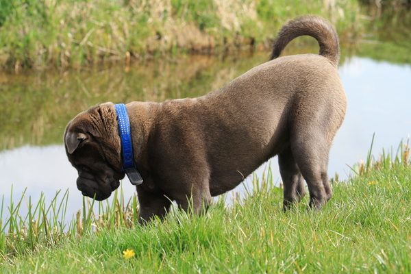 Heb ik daar een muisje ontdekt...?