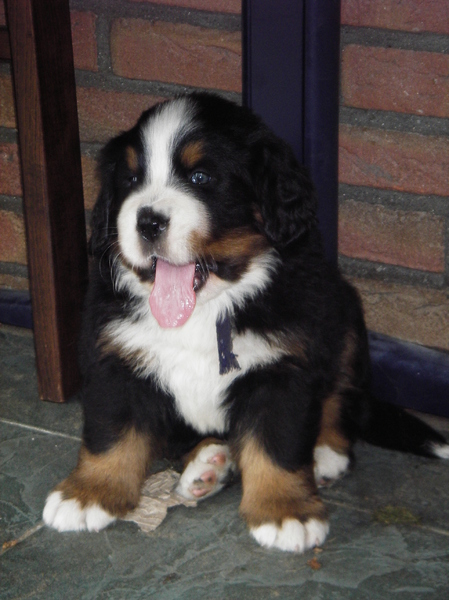 Wat zie jij voor lekkers??