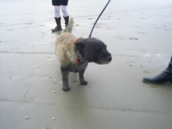 strand