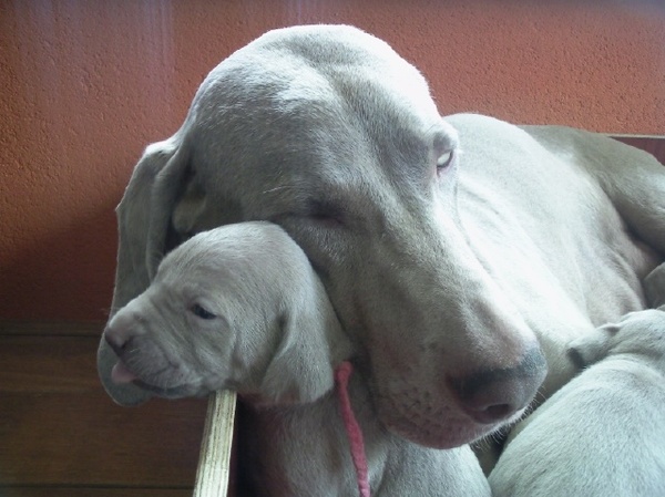 en van deze blijf je af.