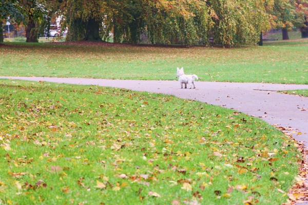 Kleine Bink op de uitkijk.