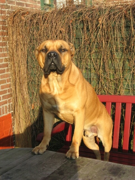 Ca de Bou