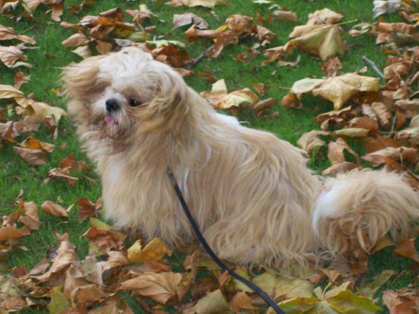 Het waait een beetje hard