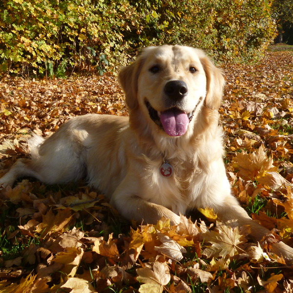 Max in de herfst!