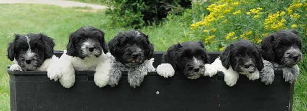 de La Vallée du Doux