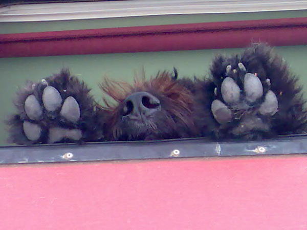 waar blijft de baas??