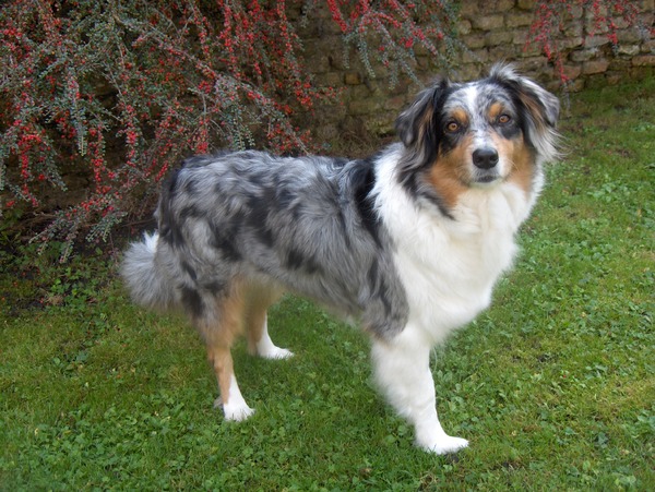 Vandewalle Vanhonsebrouck