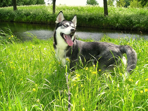 Mijn 1e Lente ik geniet met volle teugen