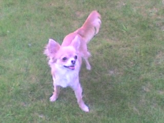 dinake in de natuur !