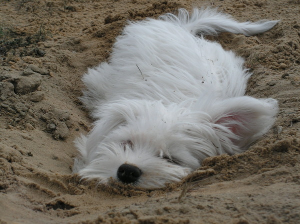 masha in haar zelfgegraven kuil