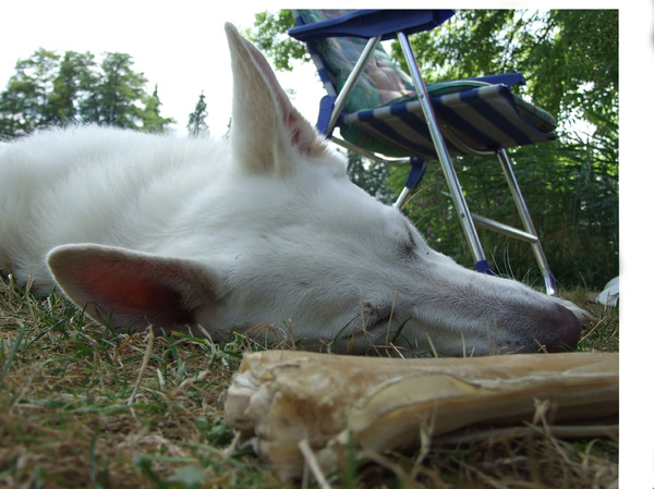 Shanti op vakantie, lekker in dromenland.  