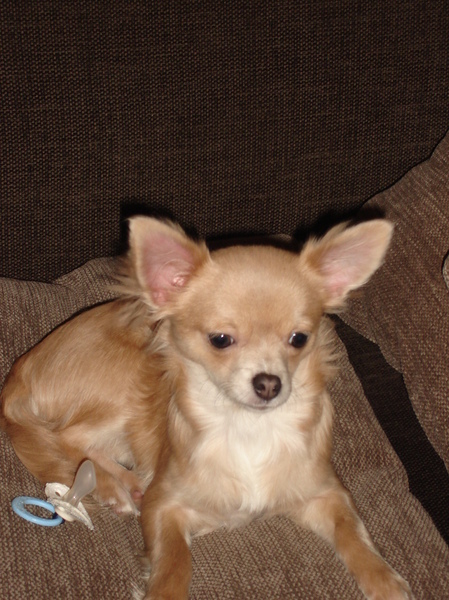 dinake houdt van haar tutje