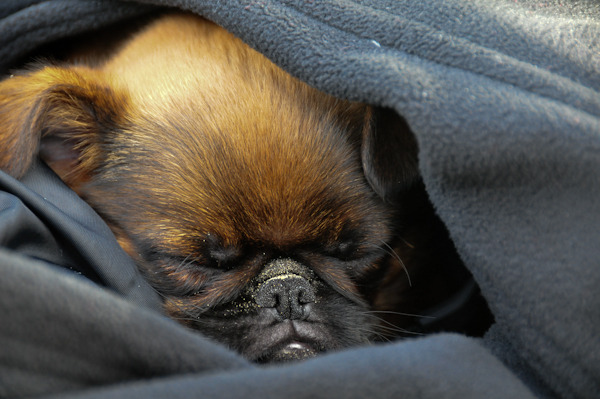 Eerste keer op het strand