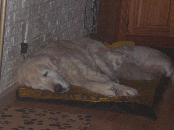 Helaas niet meer samen.