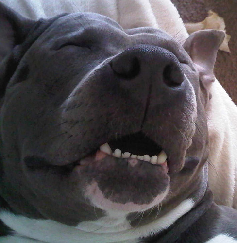 Tylertje lekker aan het slapen 