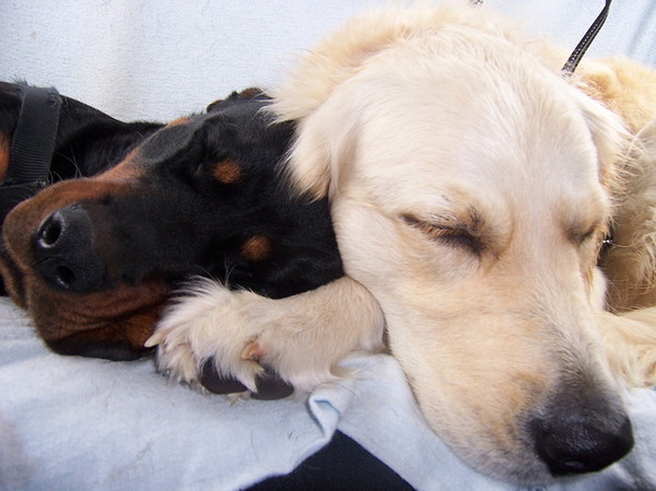 Na een fijne vakantie...