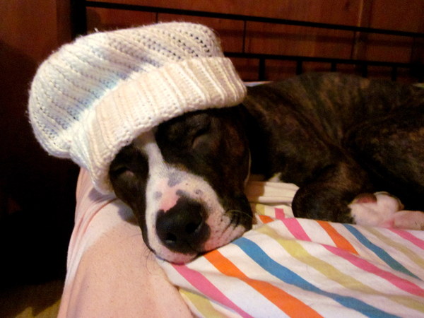 Mijn slapende pietje