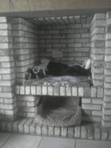 testo heeft zo zijn eigen plekje